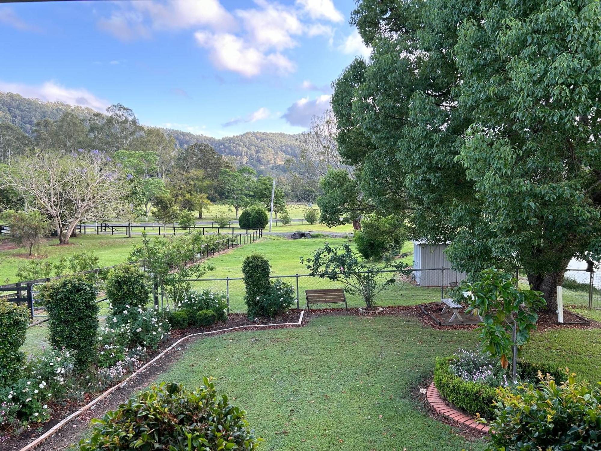 Cottage On Lamington Canungra Exterior foto